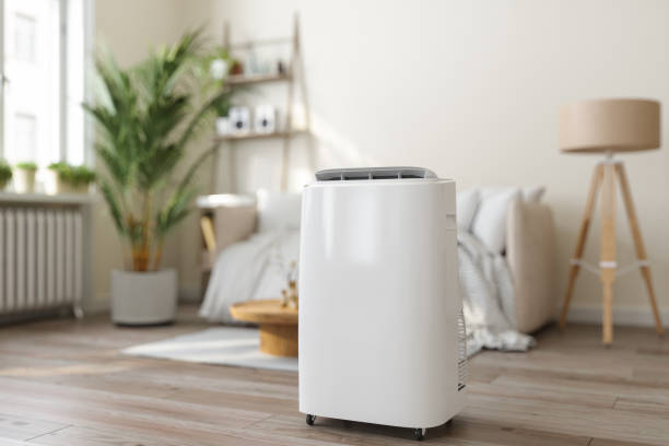Ductless HVAC repair in Holcom, KS